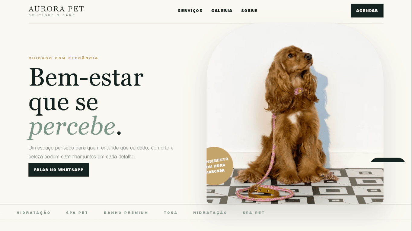 Versão desktop do projeto Modelo Pet Shop Premium